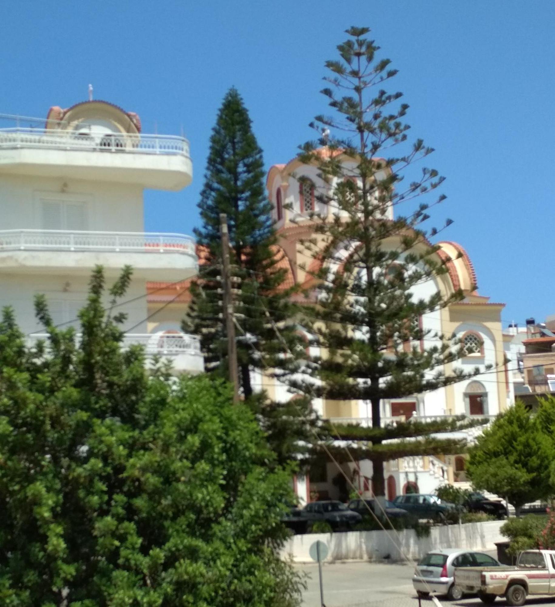 Theofilos *